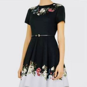 Ted Baker NEW WITH TAGS  Chestna Floral Print Belted Skater Dress